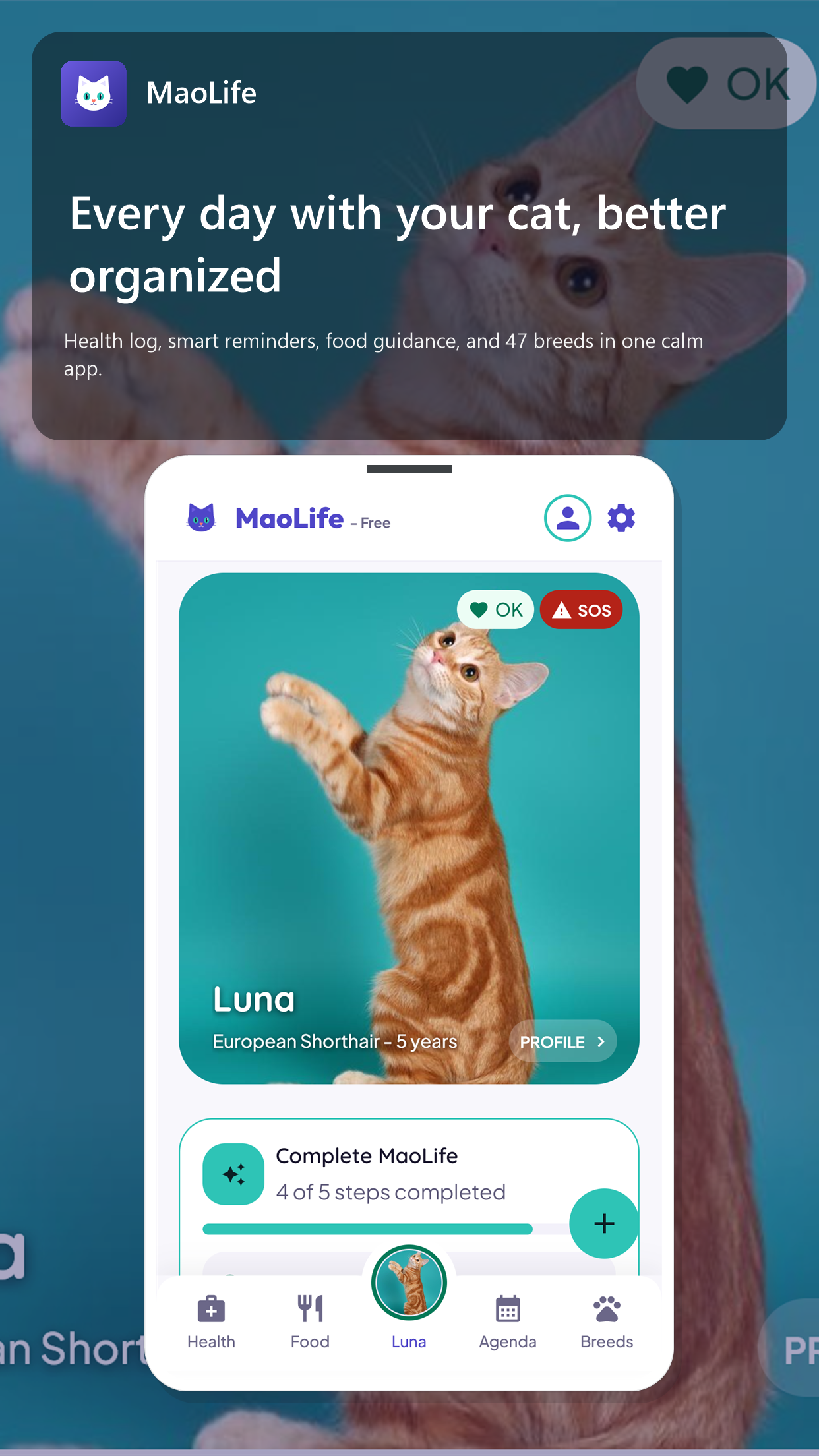 Schermata 1 di MaoLife: Tutto il tuo gatto. Sempre con te.